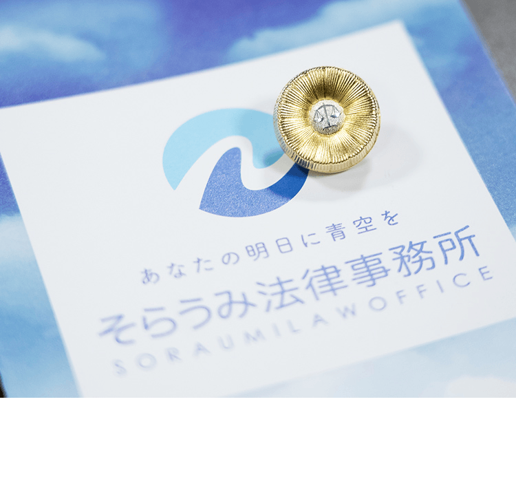 あなたの明日に青空を そらうみ法律事務所 SORAUMILAWOFFICE 刑事事件相談室